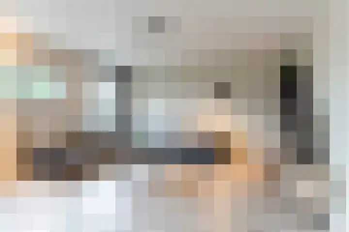 Zonnedauw 198 Tiel thumbnail 8
