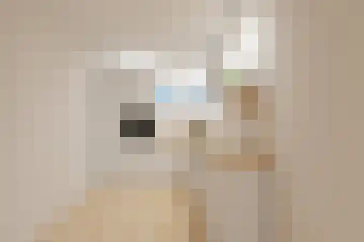 Zonnedauw 2 Sleen thumbnail 12