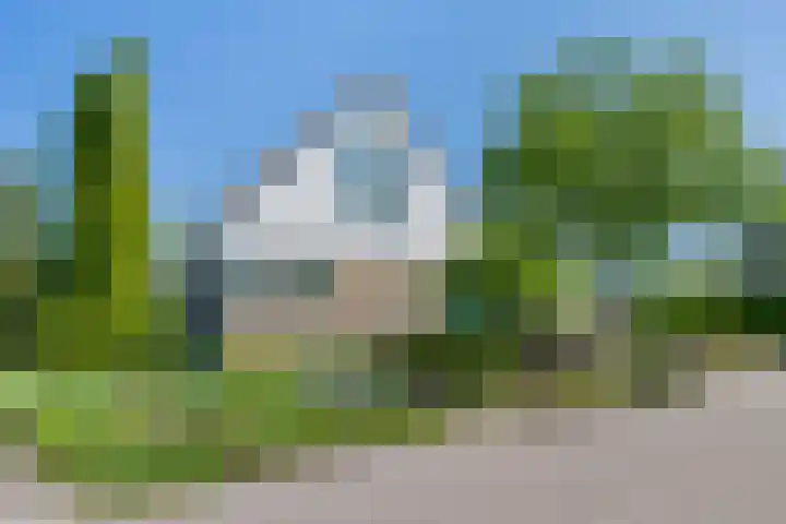 Zonnedauw 2 Sleen foto 2
