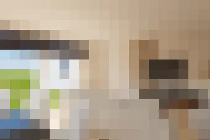 Zonnedauw 2 Sleen thumbnail 20