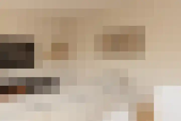 Zonnedauw 2 Sleen thumbnail 28