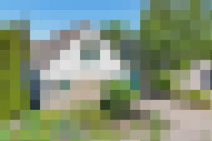 Zonnedauw 2 Sleen foto 3