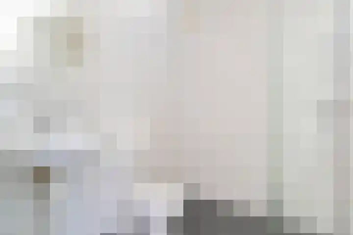 Zonnedauw 2 Sleen thumbnail 30