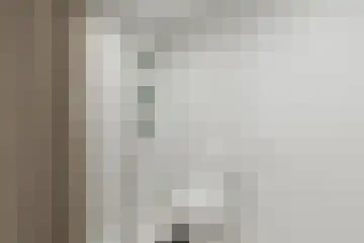 Zonnedauw 2 Sleen thumbnail 33