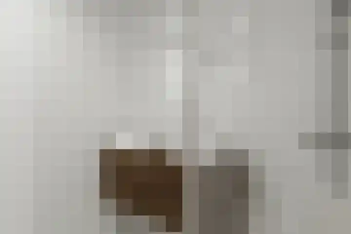 Zonnedauw 2 Sleen thumbnail 35