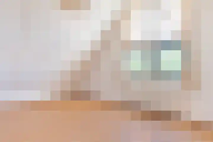 Zonnedauw 2 Sleen thumbnail 42