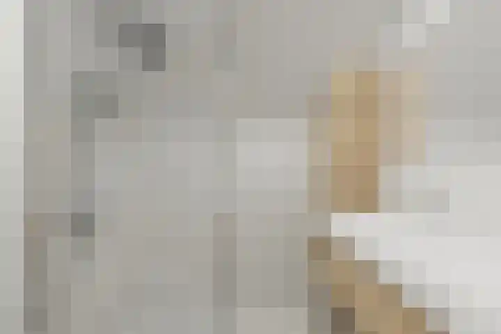 Zonnedauw 2 Sleen thumbnail 46