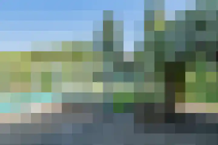 Zonnedauw 2 Sleen thumbnail 54