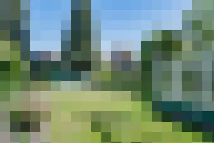 Zonnedauw 2 Sleen thumbnail 56