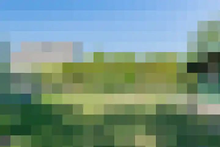 Zonnedauw 2 Sleen thumbnail 57