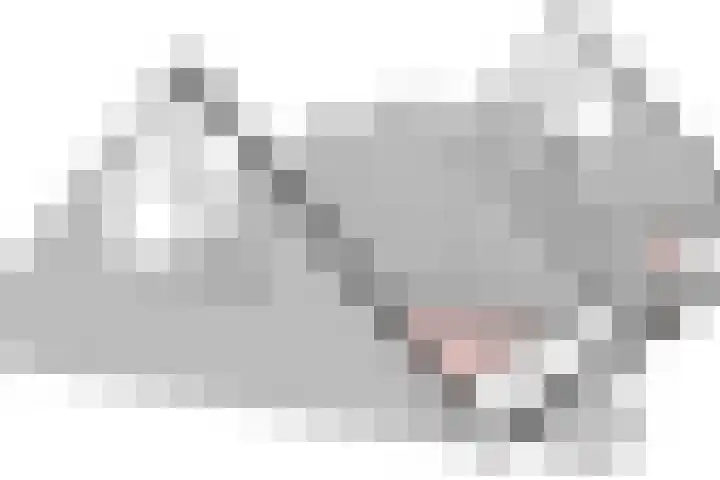 Zonnedauw 2 Sleen thumbnail 64