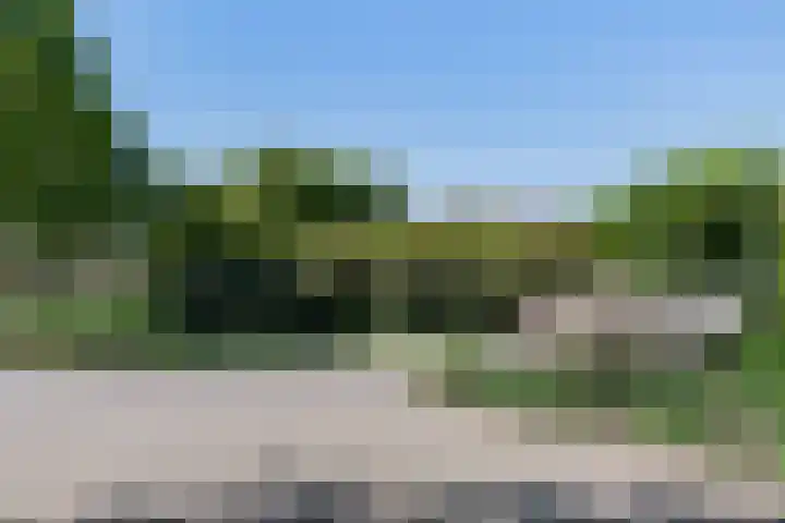 Zonnedauw 2 Sleen thumbnail 7