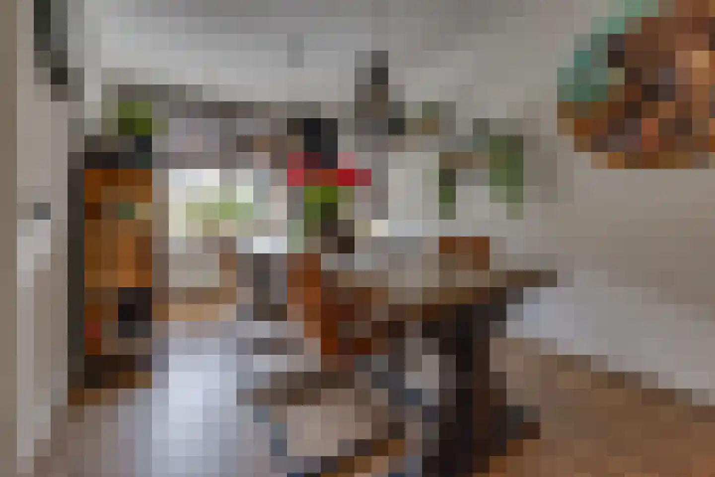 Zonnedauw 2 Ter Apel thumbnail 11
