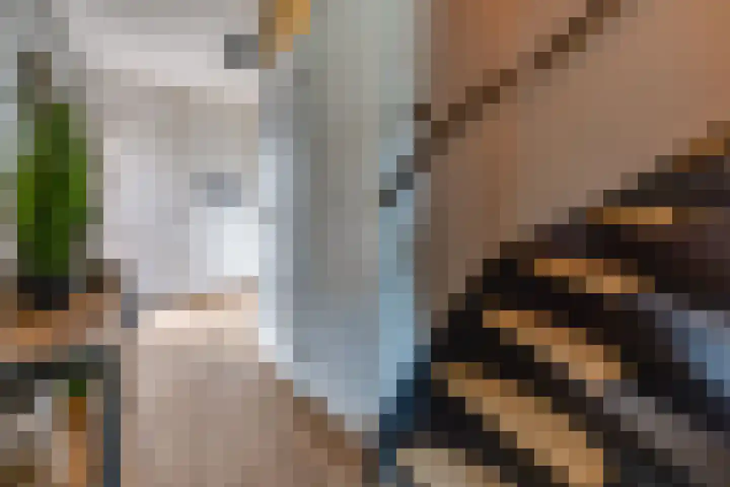 Zonnedauw 2 Ter Apel thumbnail 13