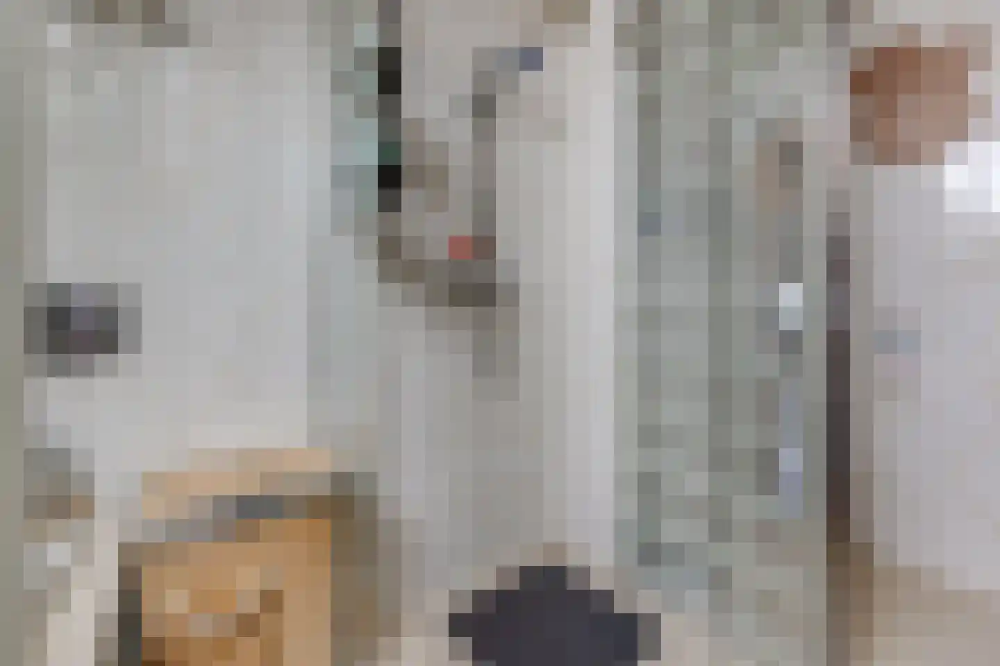 Zonnedauw 2 Ter Apel thumbnail 19