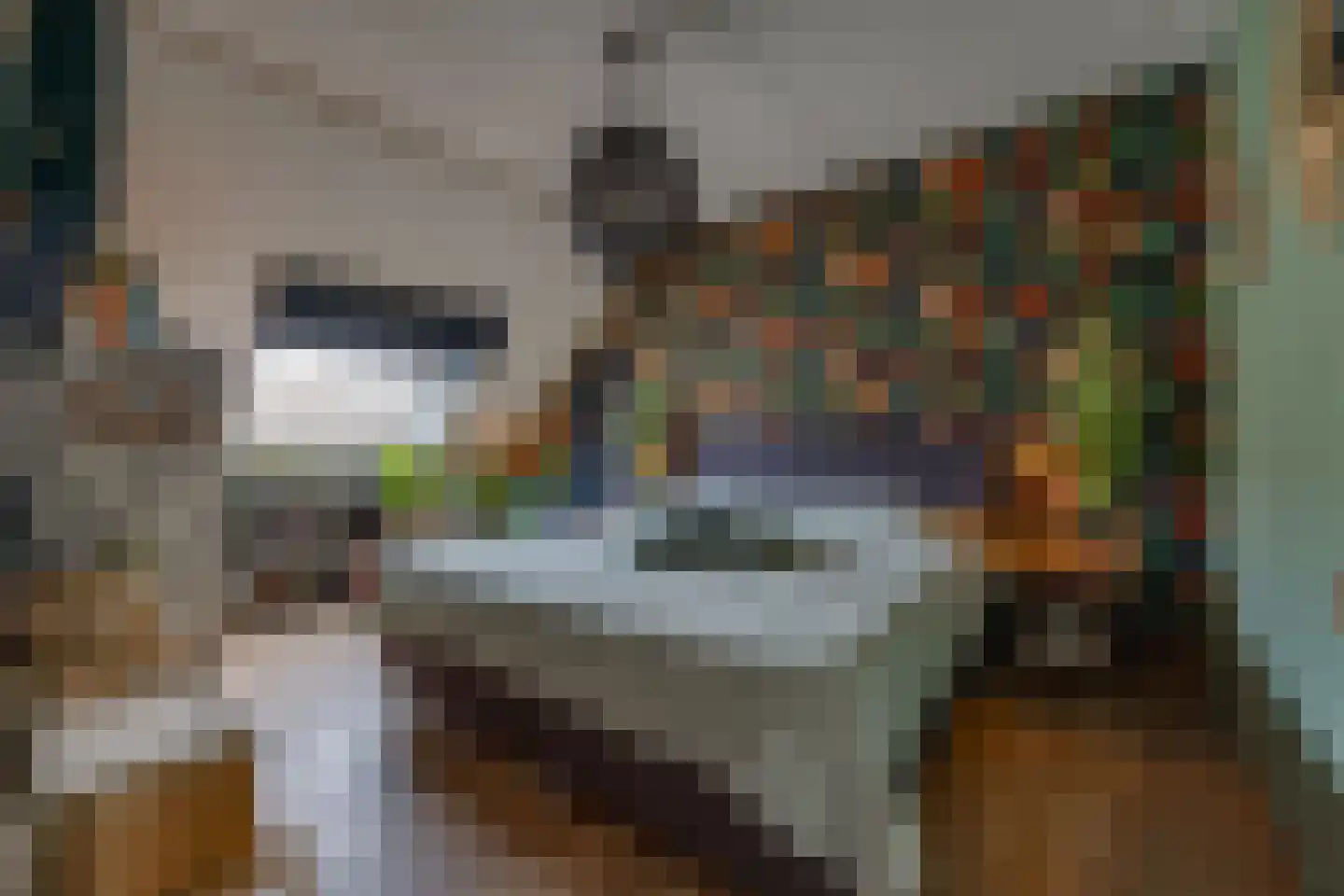Zonnedauw 2 Ter Apel thumbnail 22