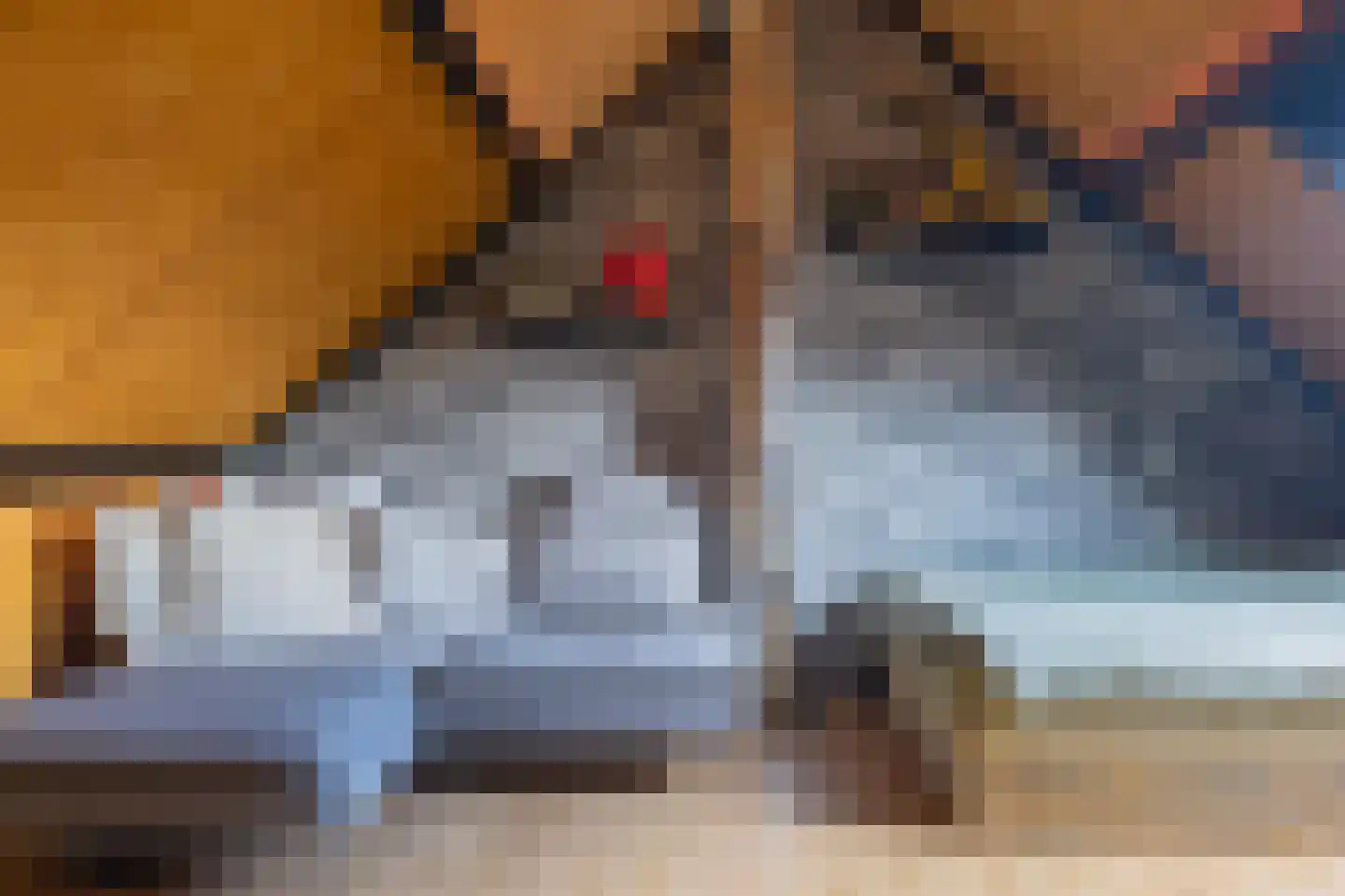 Zonnedauw 2 Ter Apel thumbnail 26
