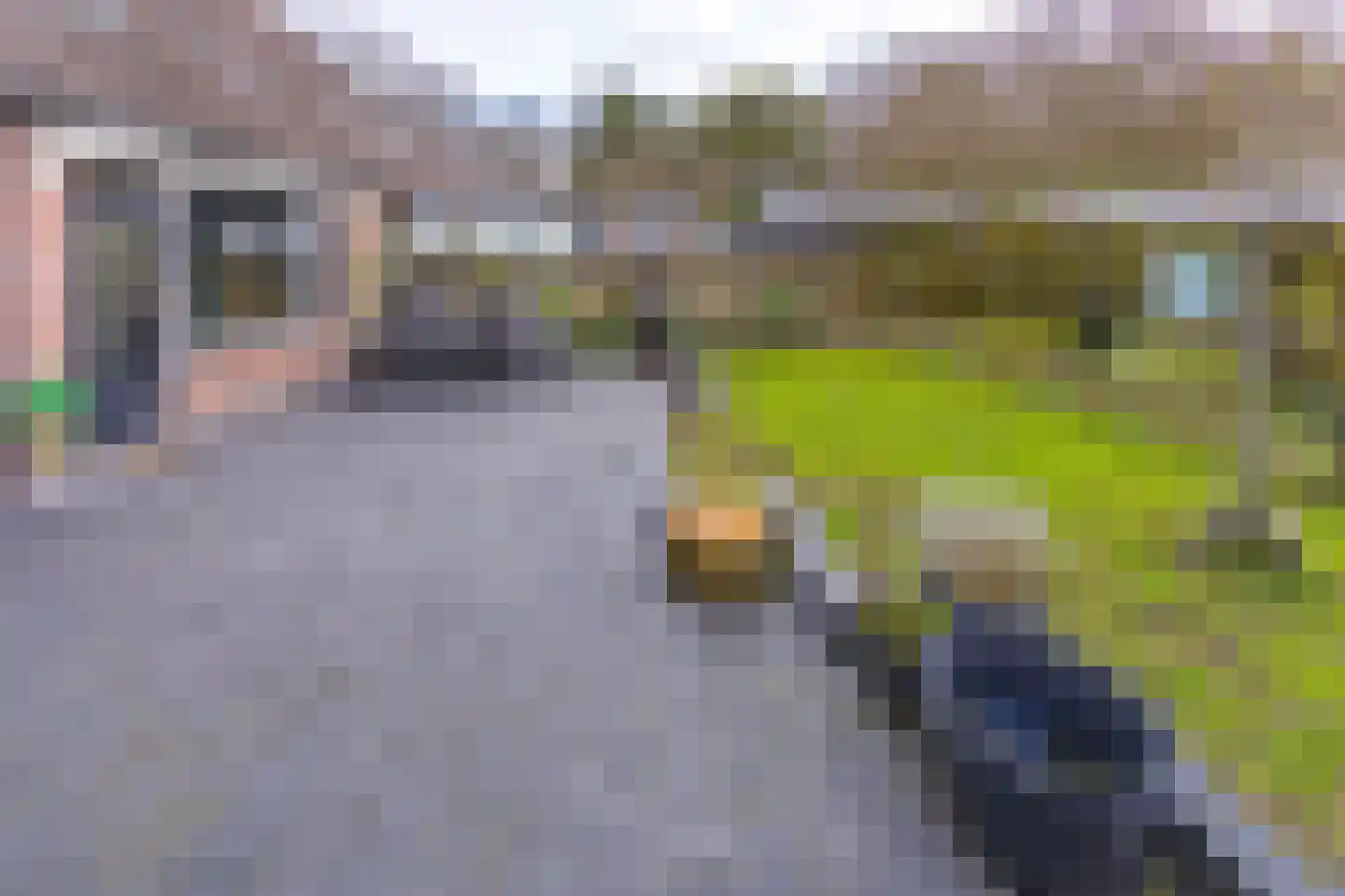 Zonnedauw 2 Ter Apel thumbnail 29