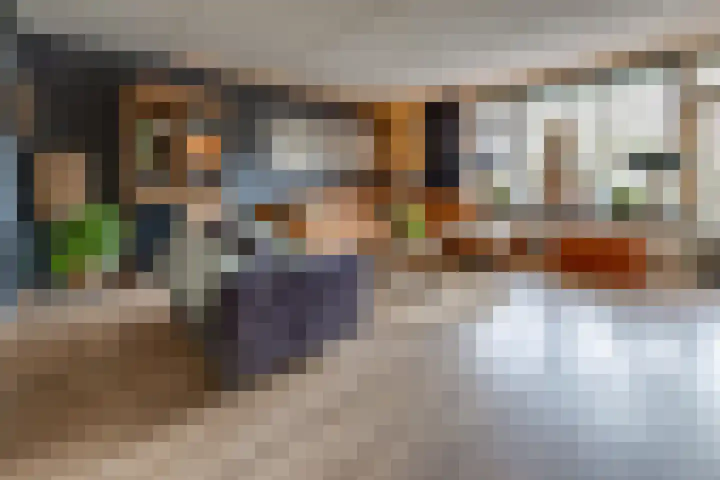 Zonnedauw 2 Ter Apel thumbnail 5