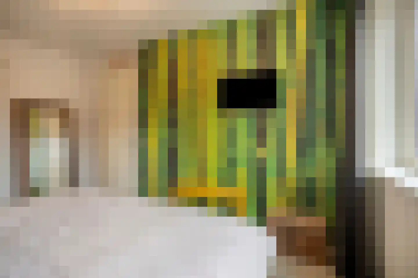 Zonnedauw 20 Odiliapeel thumbnail 16