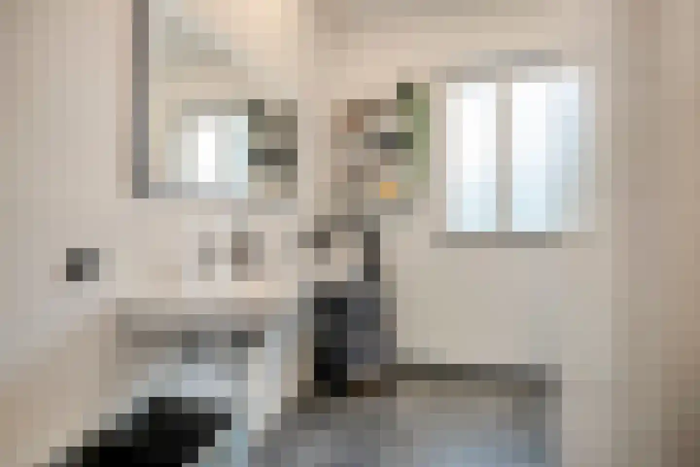 Zonnedauw 20 Odiliapeel thumbnail 17