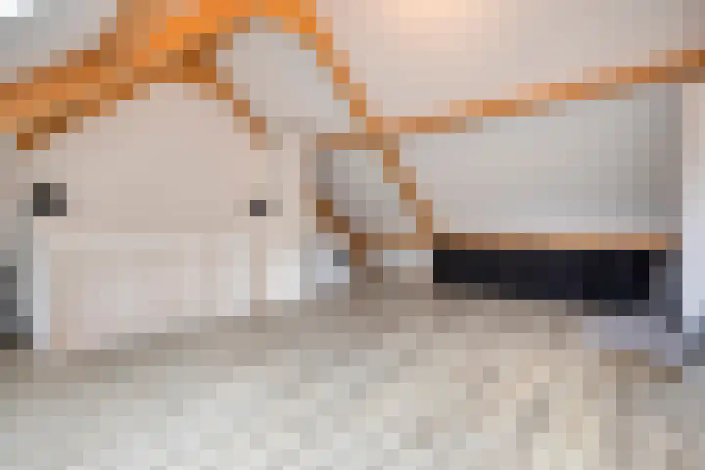 Zonnedauw 20 Odiliapeel thumbnail 23