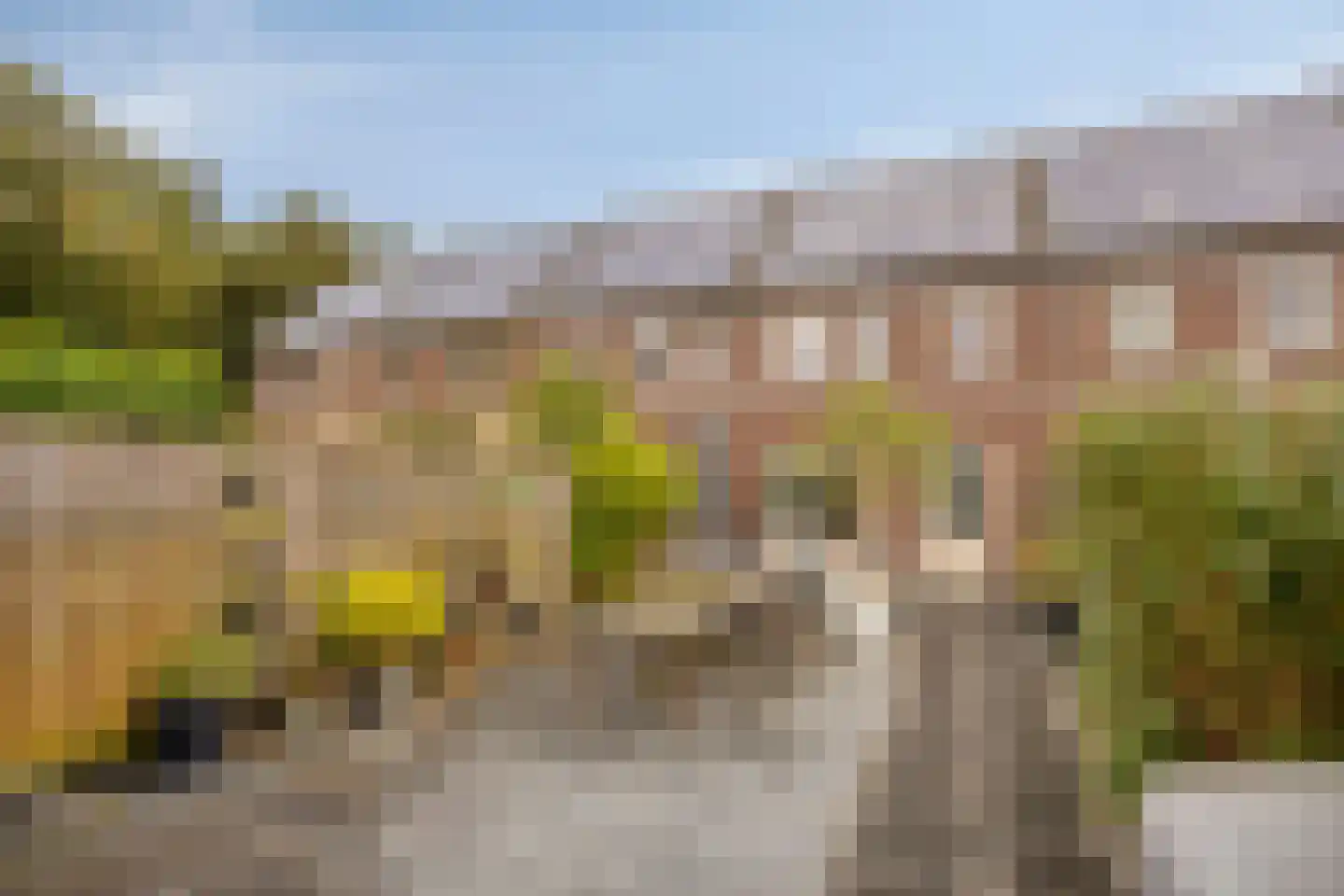 Zonnedauw 20 Odiliapeel thumbnail 24