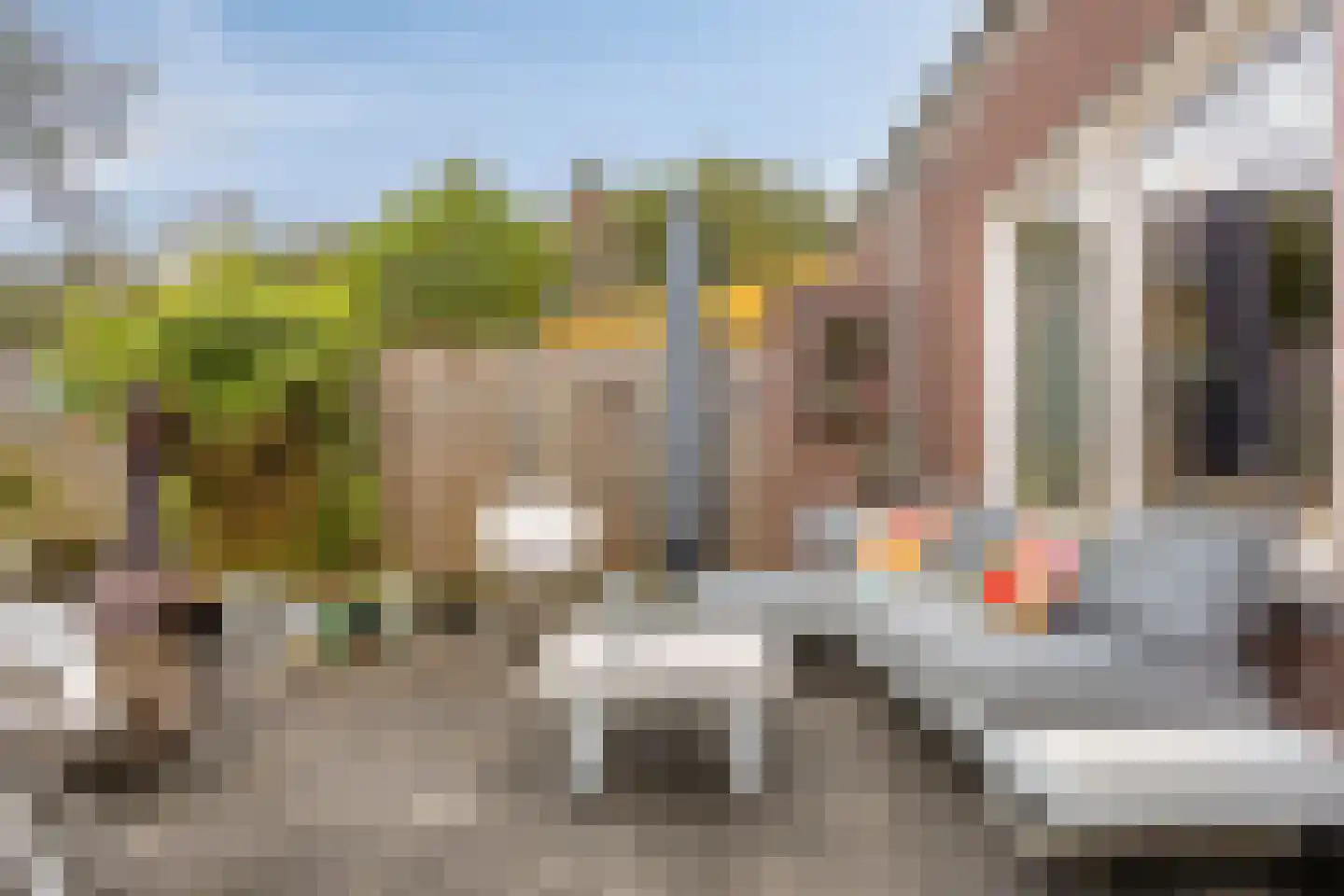 Zonnedauw 20 Odiliapeel thumbnail 26