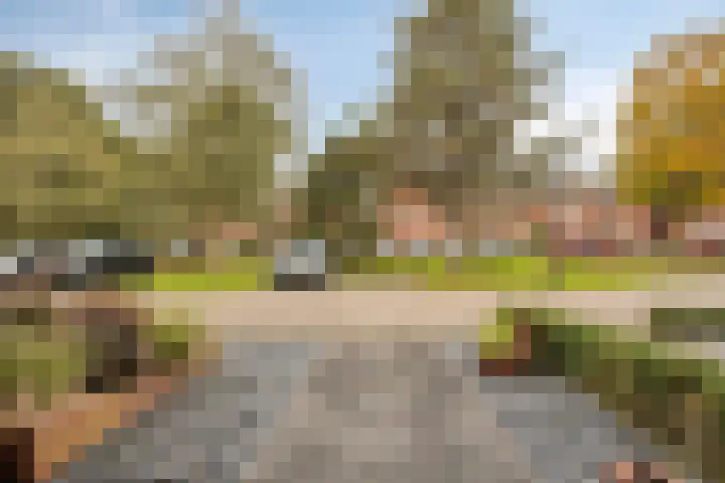 Zonnedauw 20 Odiliapeel thumbnail 27