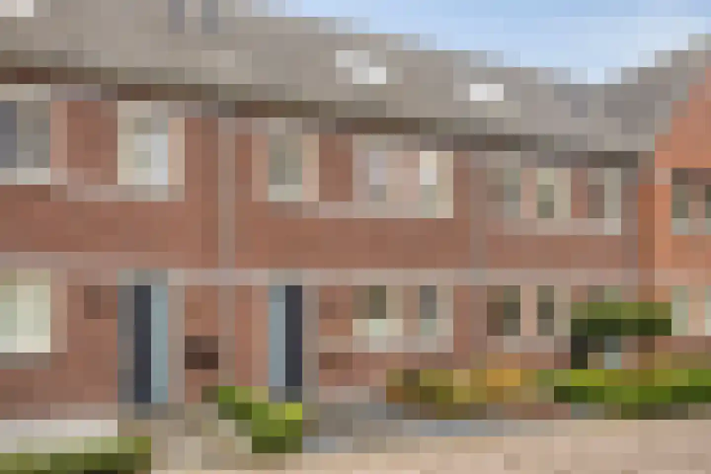 Zonnedauw 20 Odiliapeel thumbnail 28