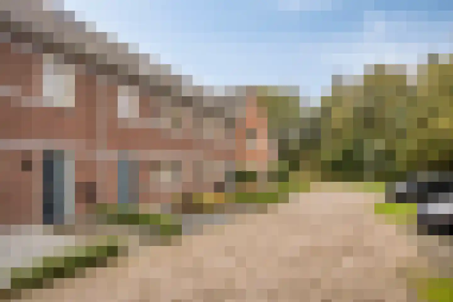 Zonnedauw 20 Odiliapeel thumbnail 30