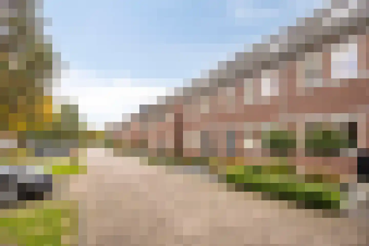 Zonnedauw 20 Odiliapeel thumbnail 31