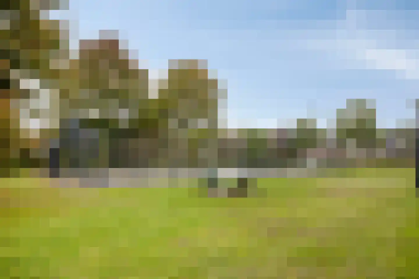 Zonnedauw 20 Odiliapeel thumbnail 33