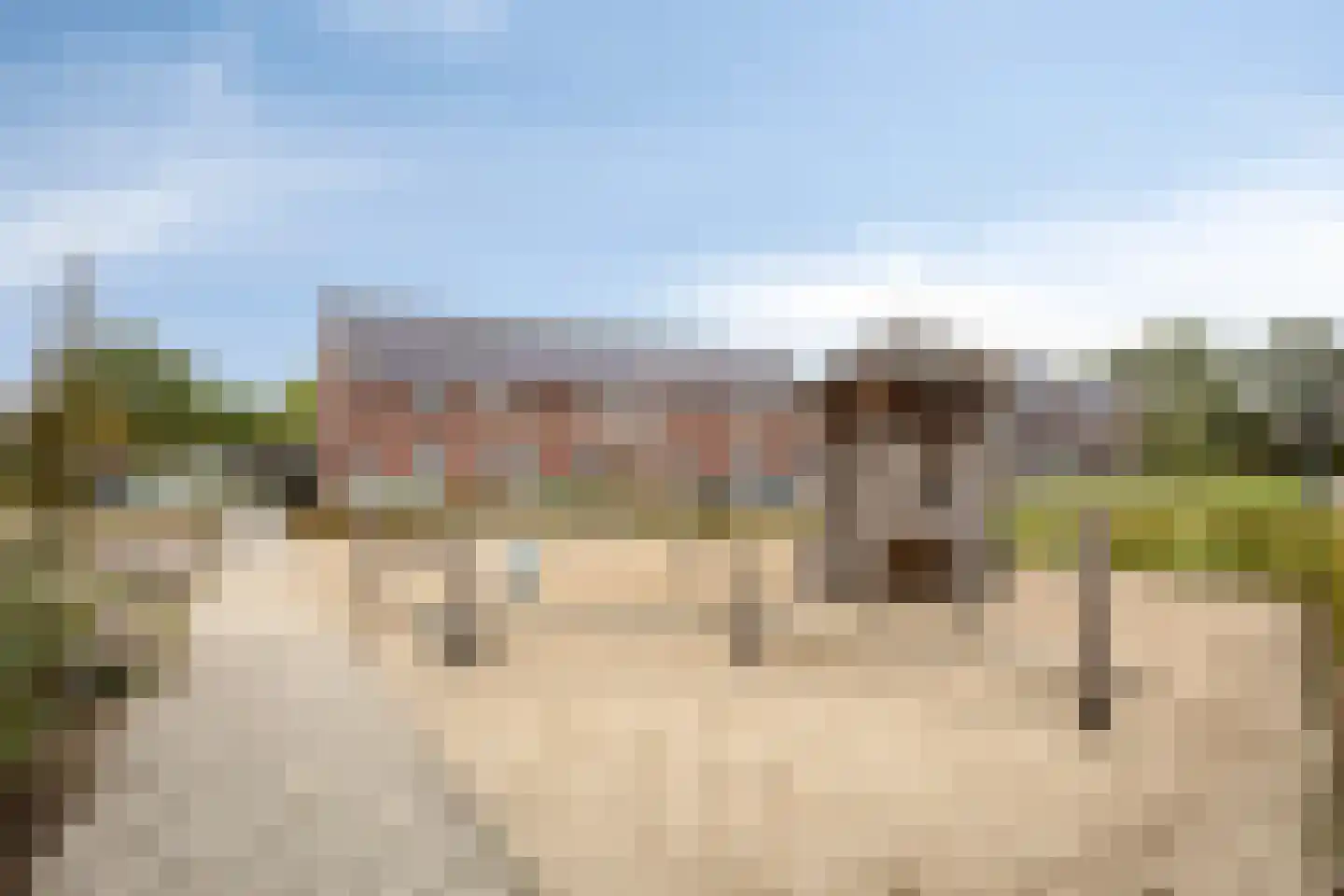 Zonnedauw 20 Odiliapeel thumbnail 34