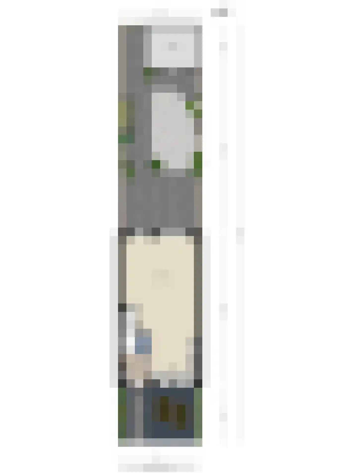 Zonnedauw 20 Odiliapeel thumbnail 38