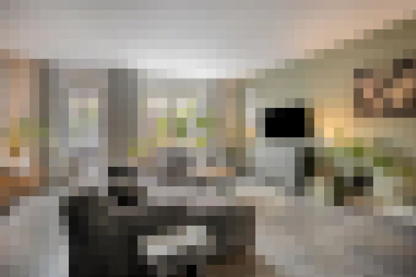 Zonnedauw 20 Odiliapeel thumbnail 5