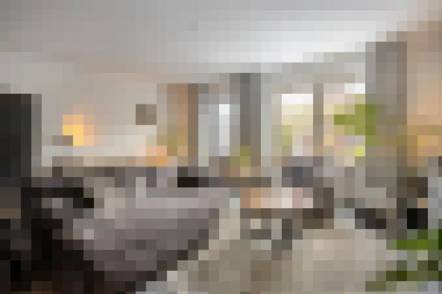 Zonnedauw 20 Odiliapeel thumbnail 6