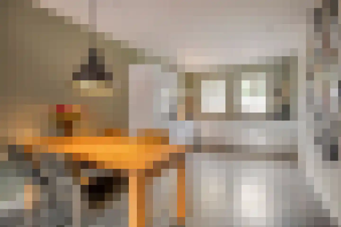 Zonnedauw 20 Odiliapeel thumbnail 7