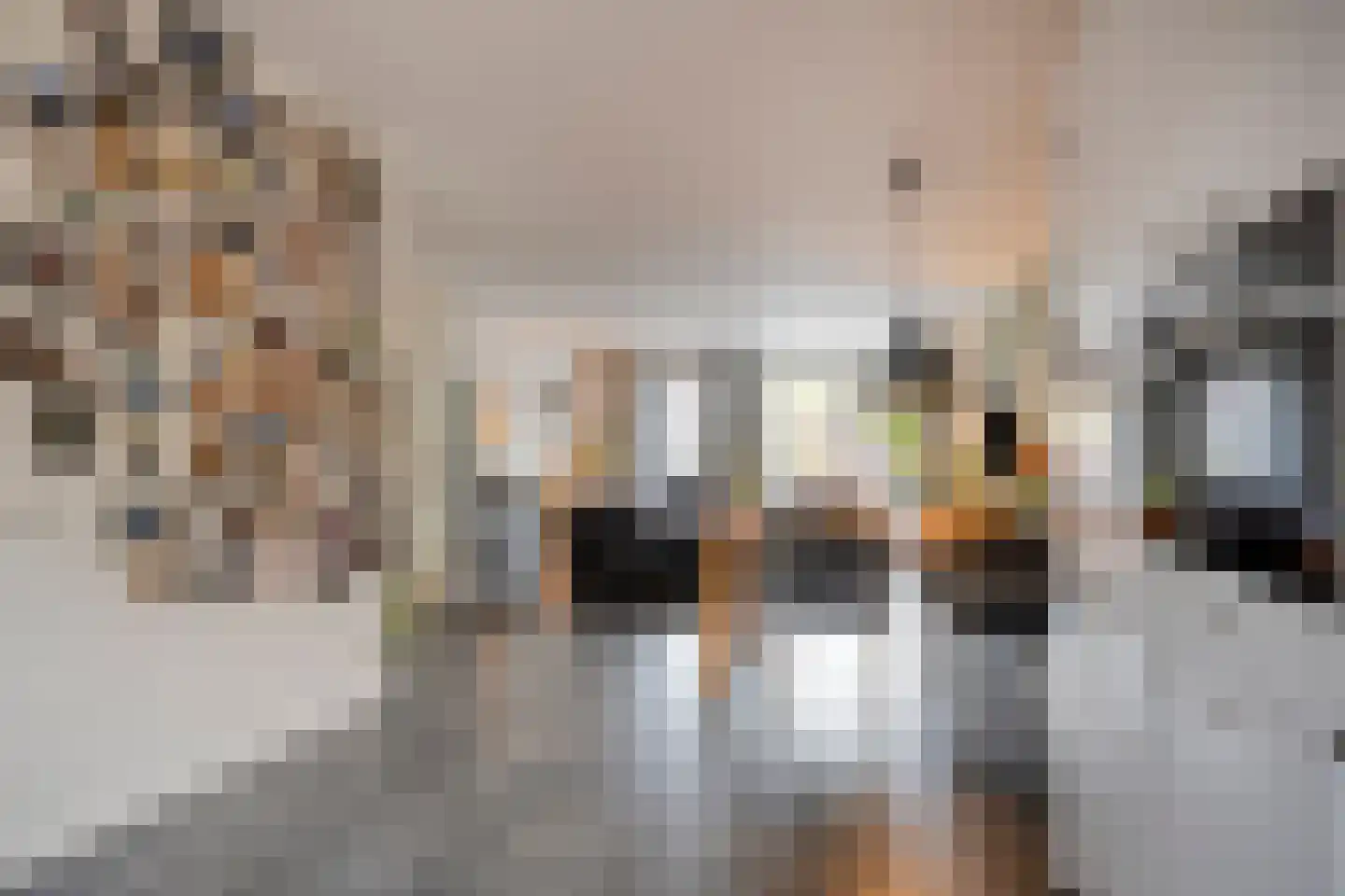 Zonnedauw 20 Odiliapeel thumbnail 9
