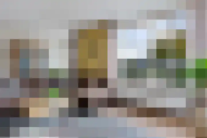 Zonnedauw 20 Sleen thumbnail 10