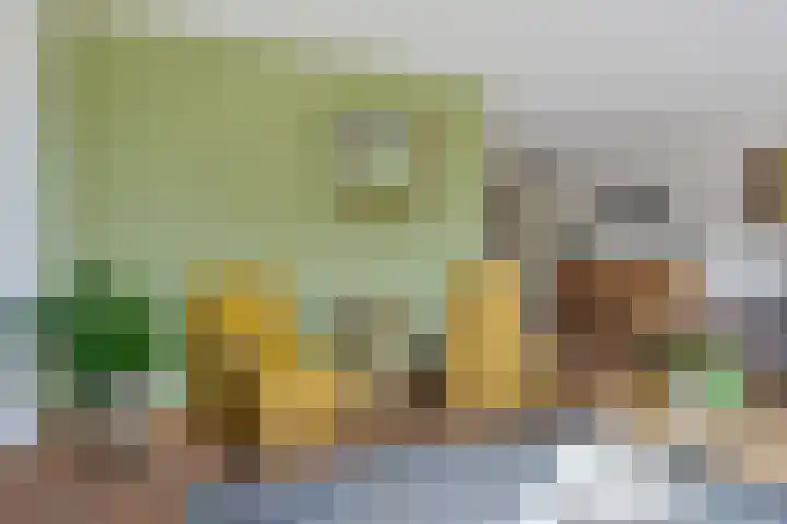 Zonnedauw 20 Sleen thumbnail 12