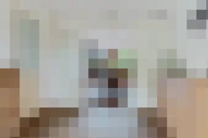 Zonnedauw 20 Sleen thumbnail 14