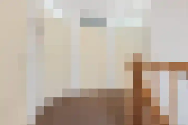 Zonnedauw 20 Sleen thumbnail 23