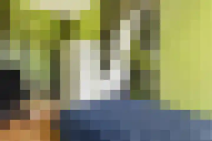 Zonnedauw 20 Sleen thumbnail 30
