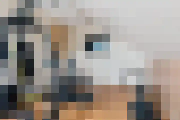 Zonnedauw 20 Sleen thumbnail 36