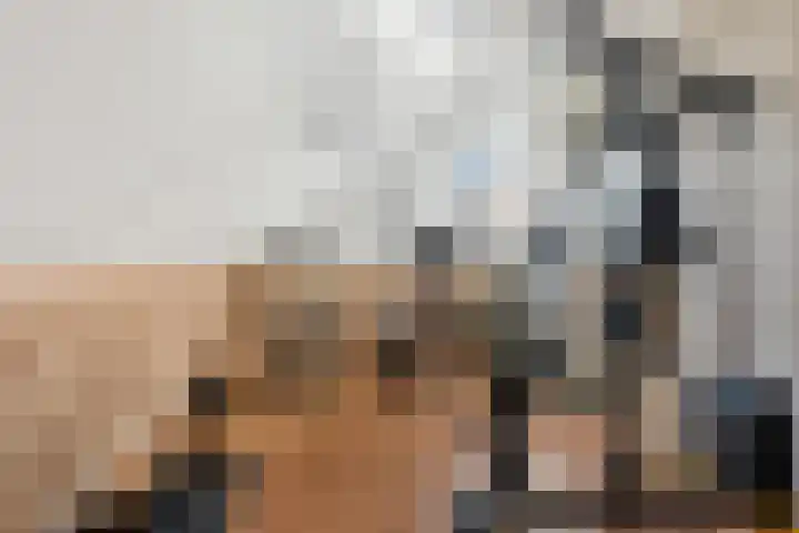 Zonnedauw 20 Sleen thumbnail 37