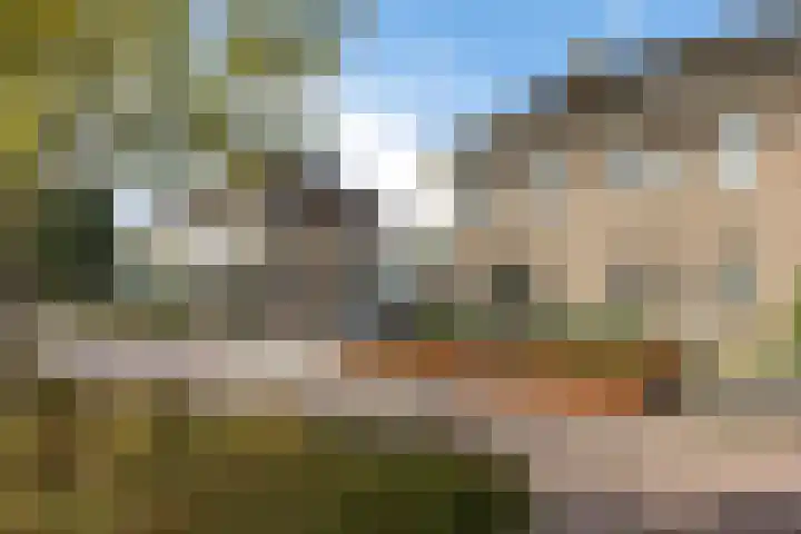 Zonnedauw 20 Sleen thumbnail 4