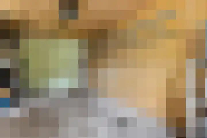 Zonnedauw 20 Sleen thumbnail 42