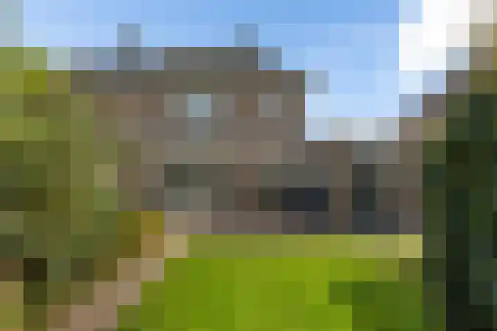 Zonnedauw 20 Sleen thumbnail 43
