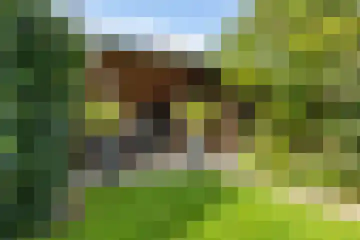 Zonnedauw 20 Sleen thumbnail 48